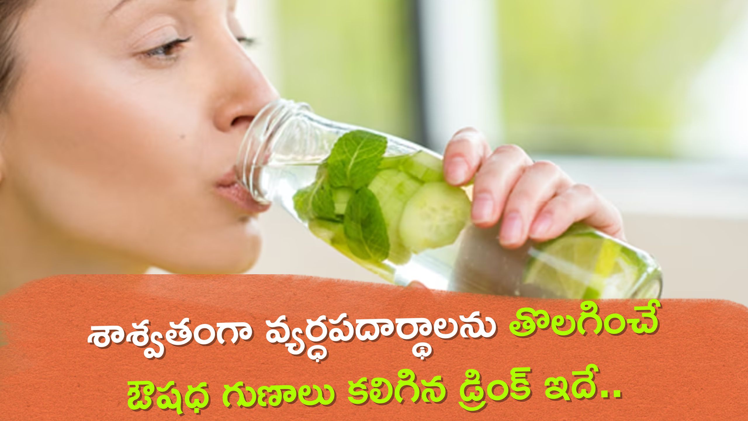 Detox Drinks: శరీరంలో నుంచి శాశ్వతంగా వ్యర్ధపదార్థాలను తొలగించే ఔషధ గుణాలు కలిగిన డ్రింక్ ఇదే..