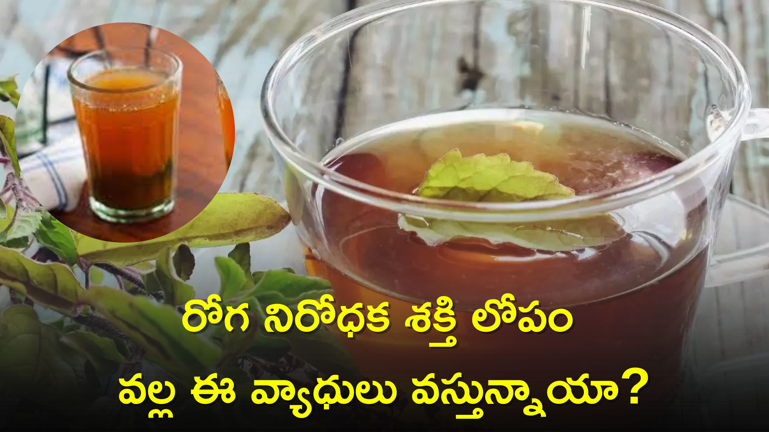 Immunity Booster: రోగ నిరోధక శక్తి లోపం వల్ల ఈ వ్యాధులు వస్తున్నాయా? ఈ చిట్కాలు పాటించండి!