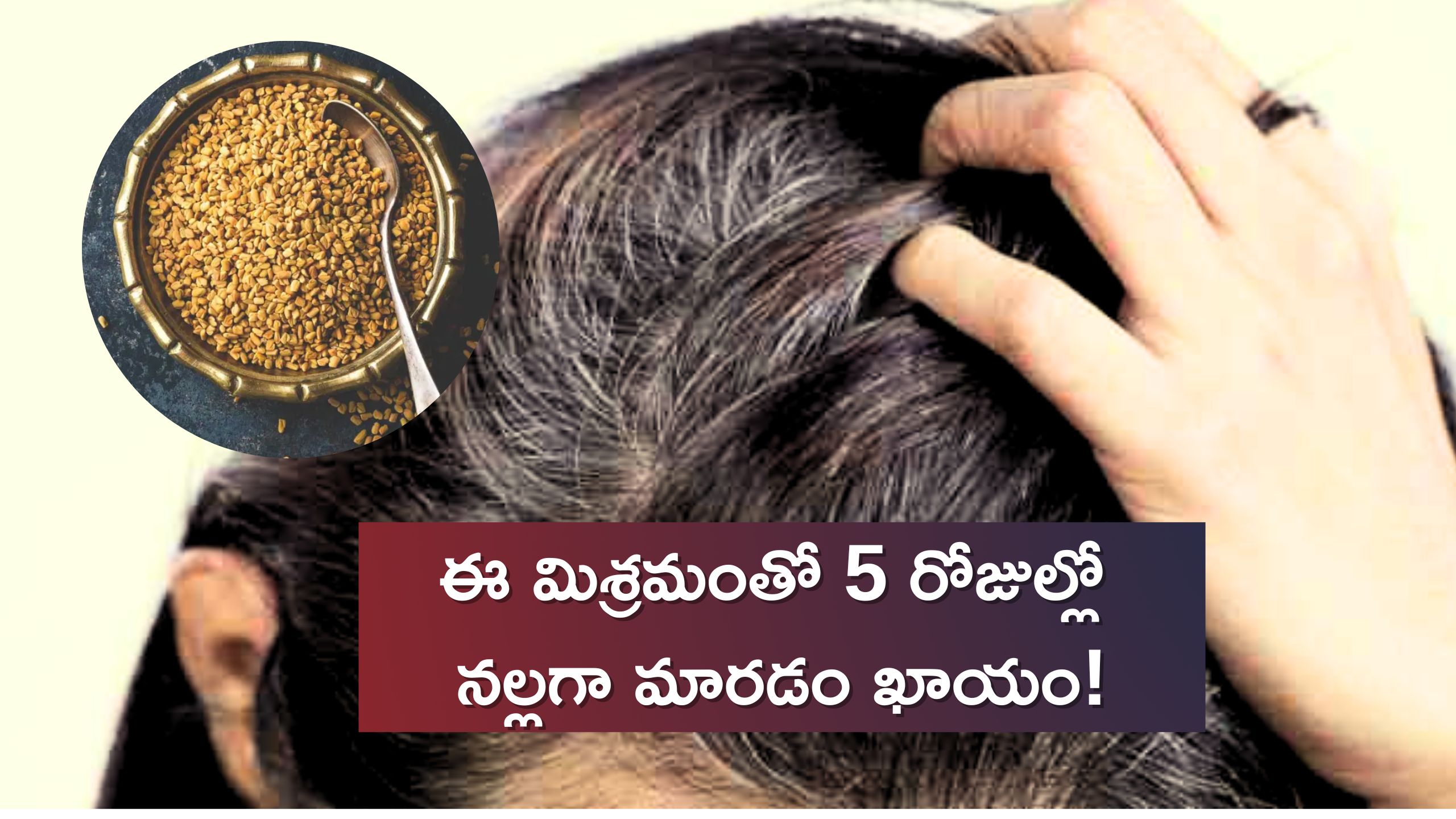 White Hair Home Remedies: తెల్ల జుట్టుతో బాధపడుతున్నారా?, ఈ మిశ్రమంతో 5 రోజుల్లో నల్లగా మారడం ఖాయం!