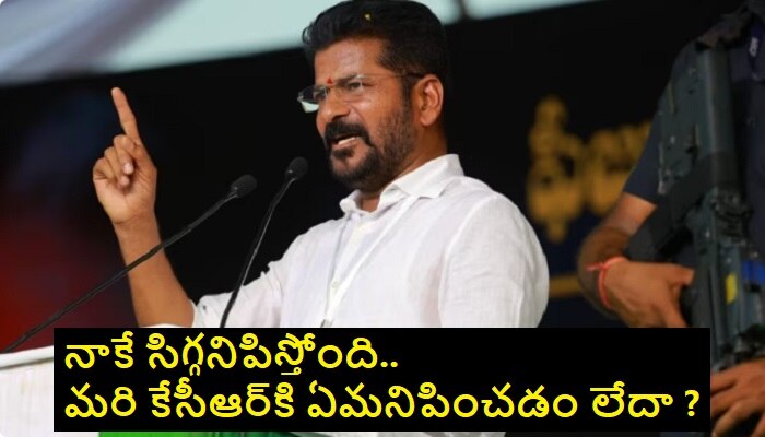 Revanth Reddy : టిఎస్పీఎస్సీ చేపట్టిన ఆ నియామకాలను రివ్యూ చేయాలి