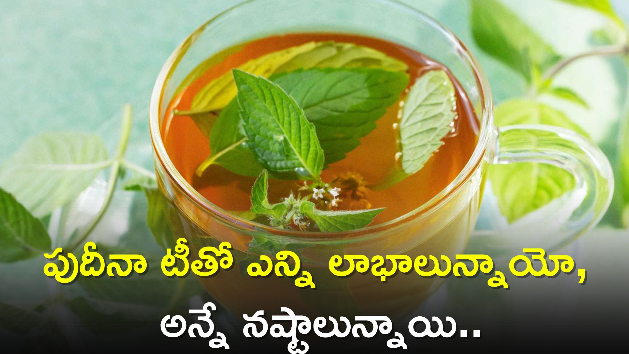 Drinking Mint Tea In Summer Can Cause Digestive Problems Allergies