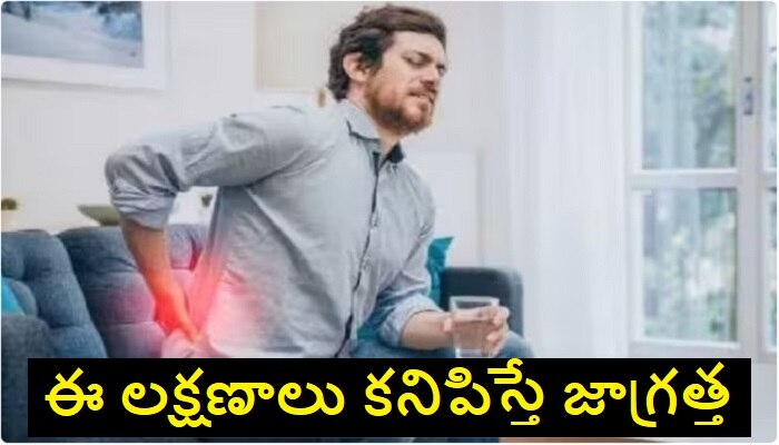 Kidney Cancer Symptoms: కిడ్నీ క్యాన్సర్ రావడానికి ముందు కనిపించే లక్షణాలు