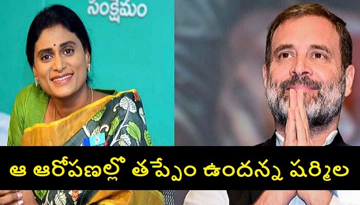 YS Sharmila Supports Rahul Gandhi: బీఆర్ఎస్ సర్కారుపై కాంగ్రెస్ చేసిన ఆరోపణలకు మద్దతుగా కలిసొచ్చిన వైఎస్ షర్మిల