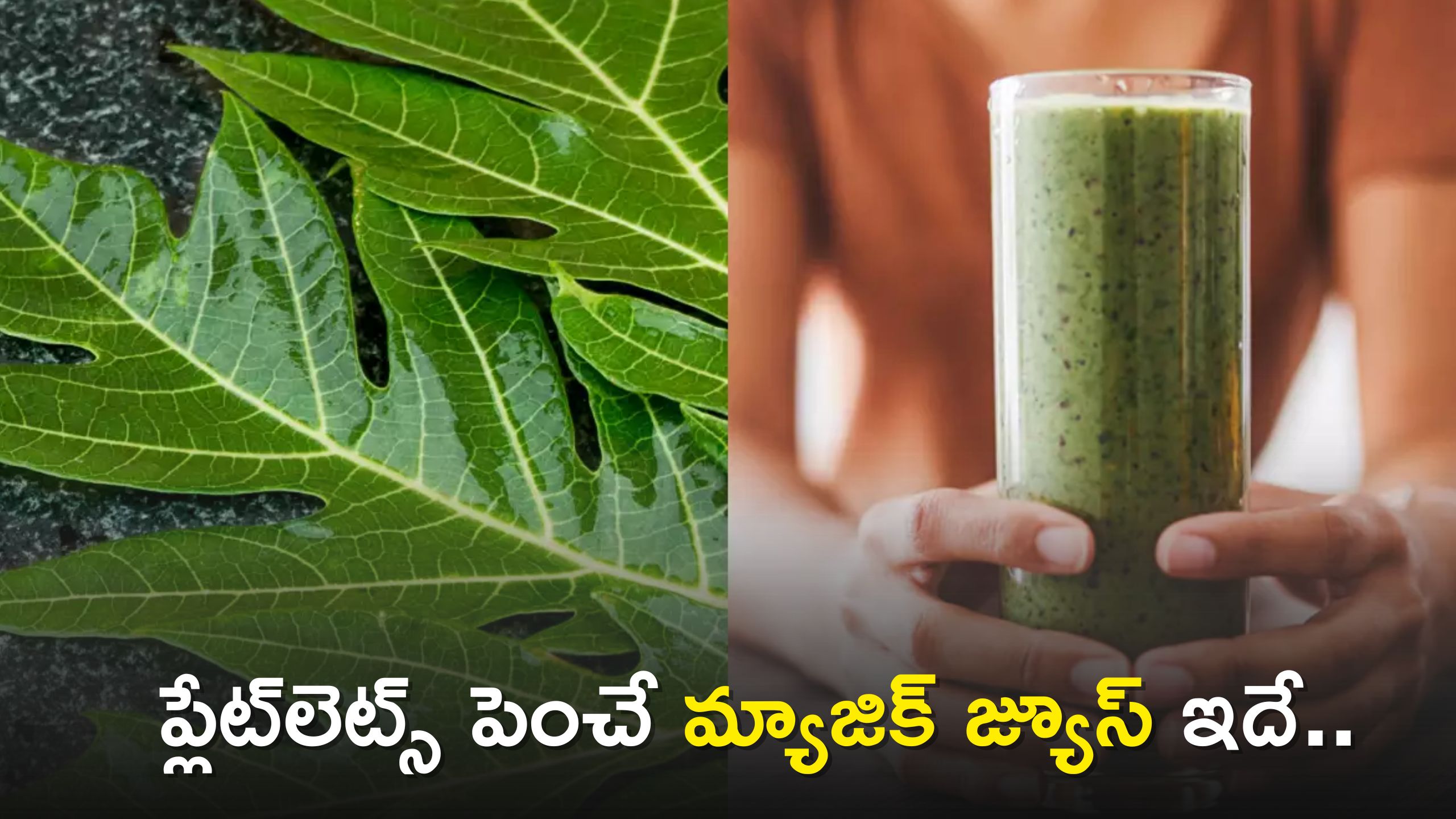 If You Drink Papaya Leaf Juice Lakhs Of Platelets Will Increase In 3