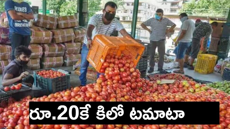 Tomato Price Today Tamil Nadu Vegitable Bussines man selles tomato at