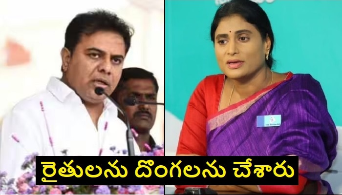 YS Sharmila to KTR: రైతు సమస్యల విషయంలో మరోసారి కాంగ్రెస్ ఆరోపణలకు మద్ధతిచ్చిన షర్మిల.. కేటీఆర్‌కి గట్టి చురకలు