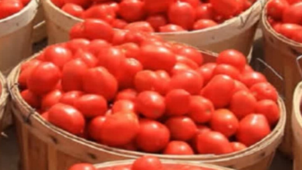 Tomato Price: చుక్కలు చూపిస్తున్న టమాటా ధర.. ఆ మార్కెట్లో కిలో టమాటా రూ.300కు పైనే..!