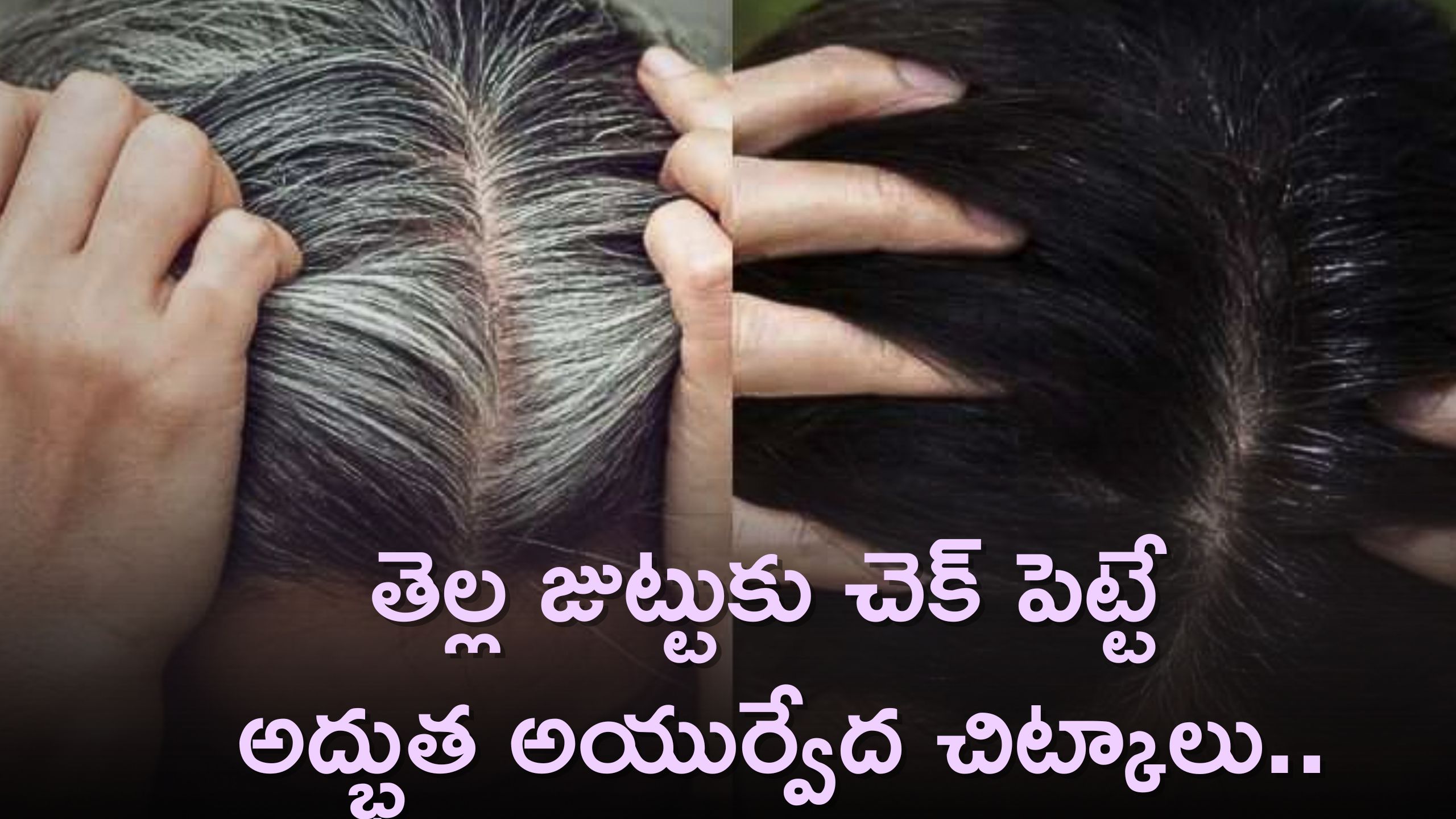 White Hair Turn Black: తెల్ల జుట్టుకు శాశ్వతంగా చెక్‌ పెట్టే అద్భుత అయుర్వేద చిట్కాలు..కేవలం వారం రోజుల్లోనే నల్లగా మారడం ఖాయం