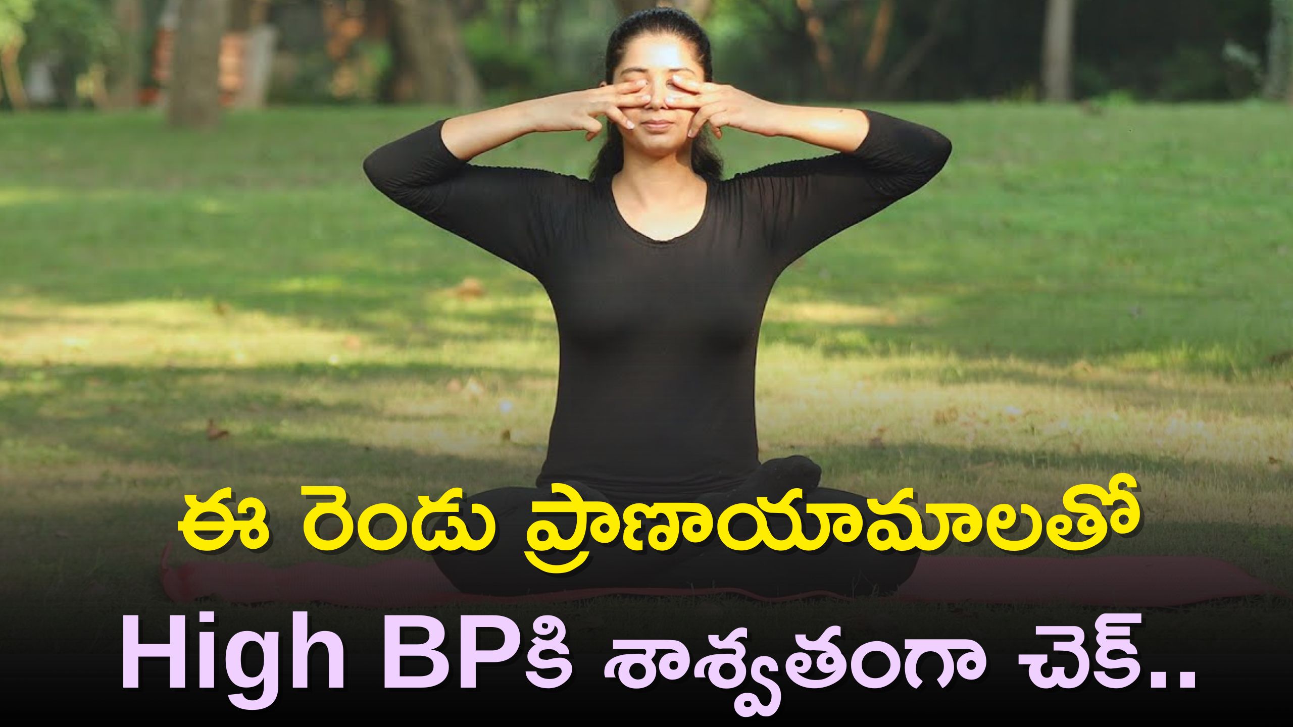 anulom-vilom-pranayama-bhramari-pranayama-high-blood-pressure-control