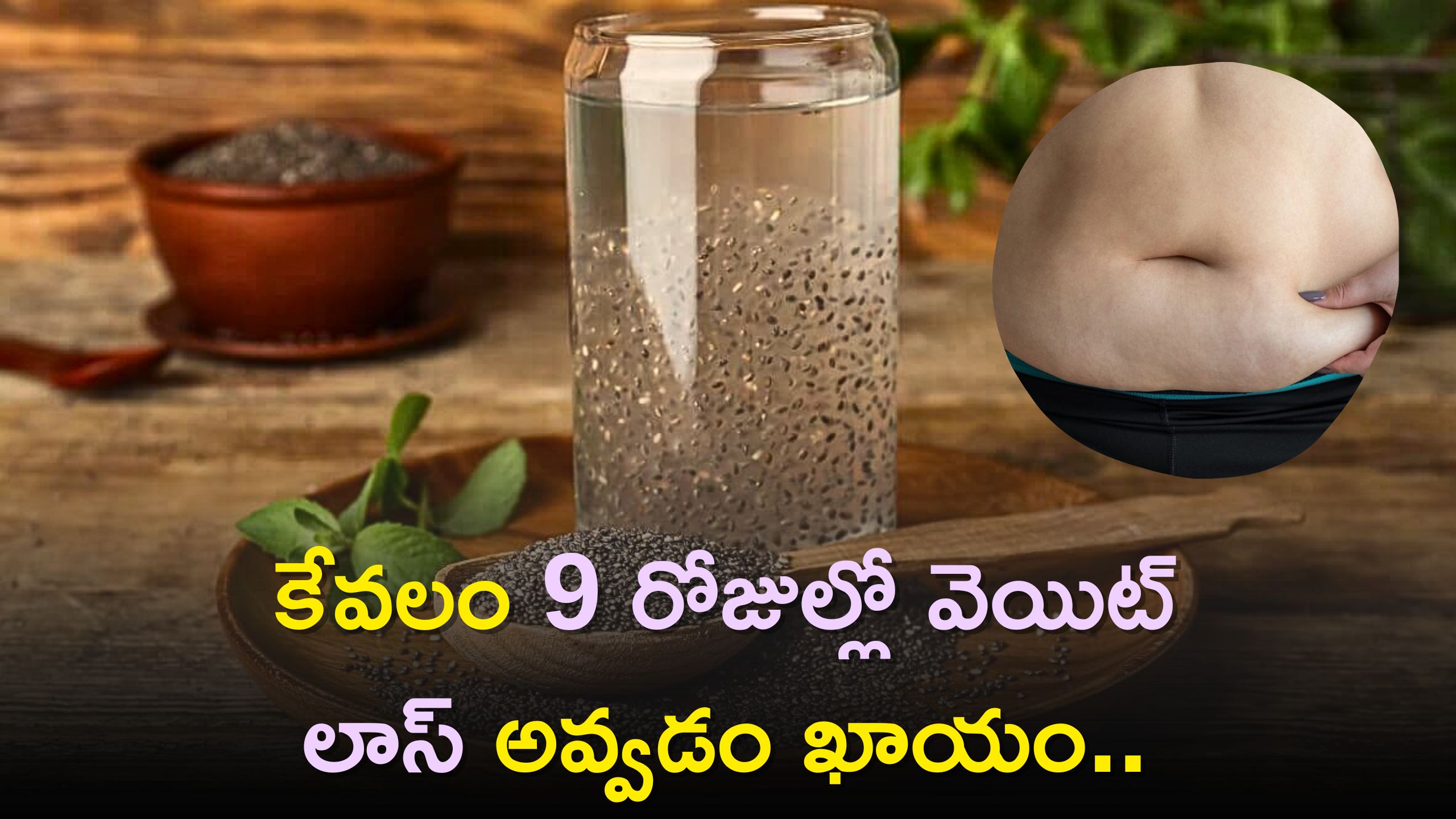 Chia Seeds For Weight Loss: చియా విత్తనాలను రోజు ఇలా తీసుకుంటే కేవలం 9 రోజుల్లో వెయిట్‌ లాస్‌ అవ్వడం ఖాయం..