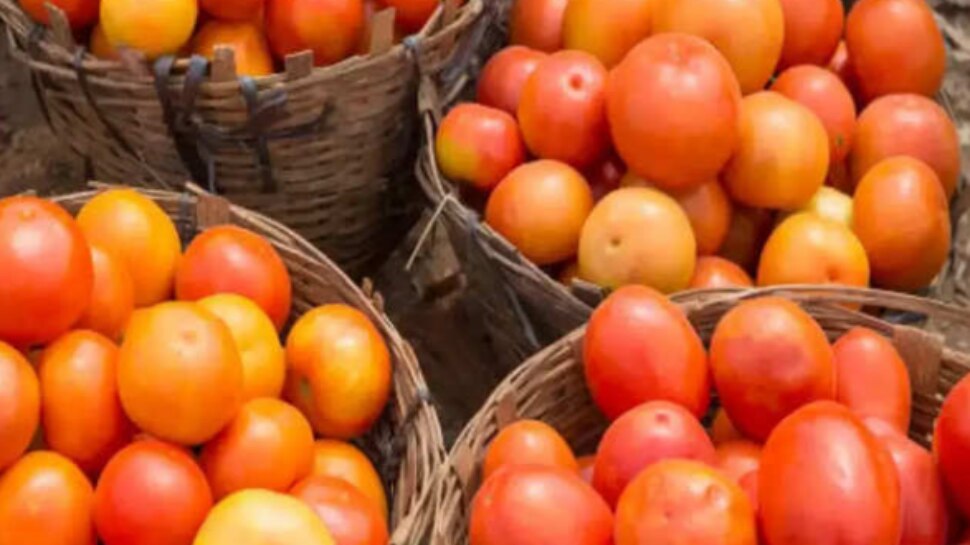 Tomato Price: రూ.50కే కిలో టమాటా.. క్యూలైన్లలో జనాల తంటా..