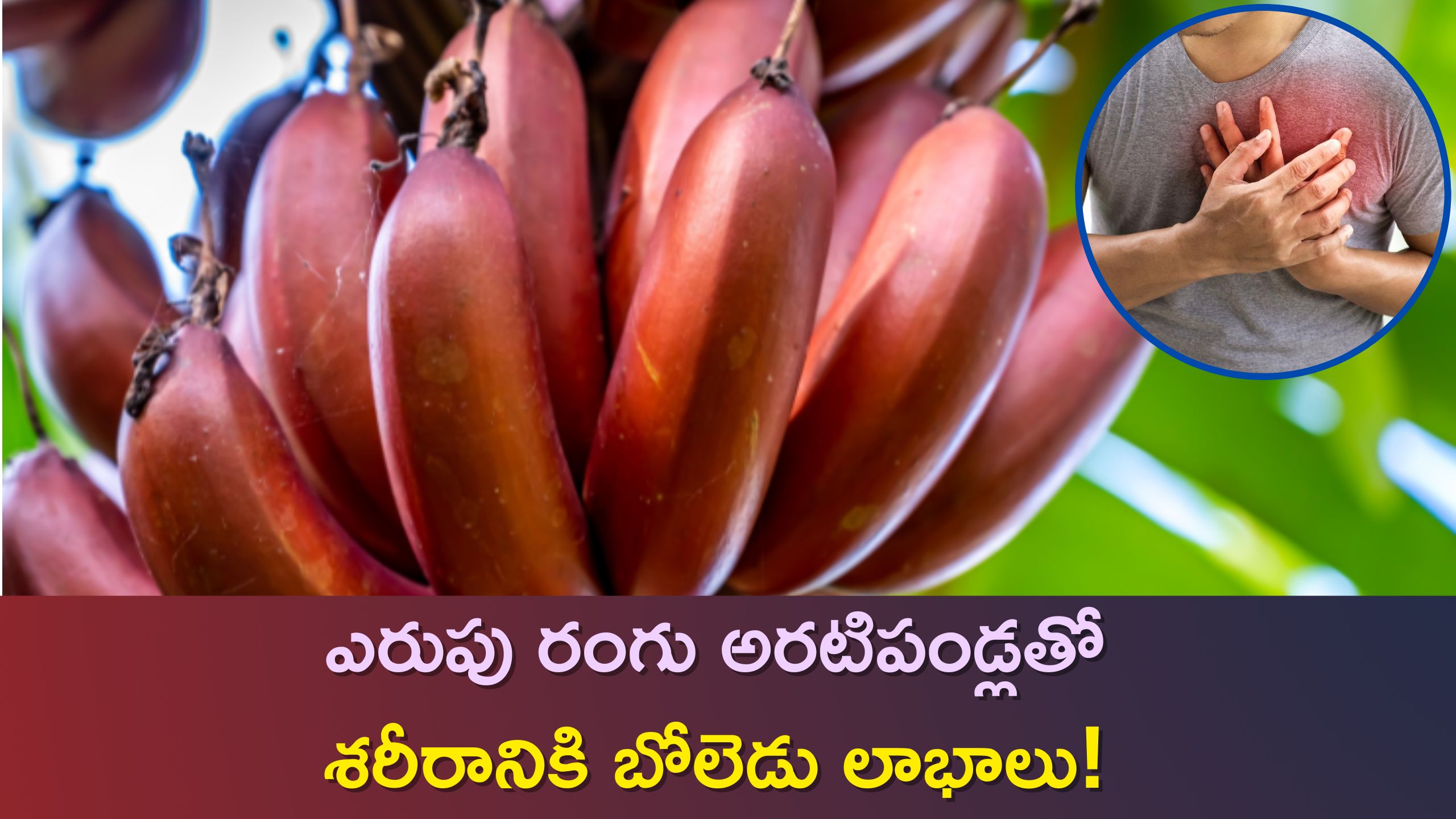 People With Heart Attack And Blood Pressure Problems Can Eat Red