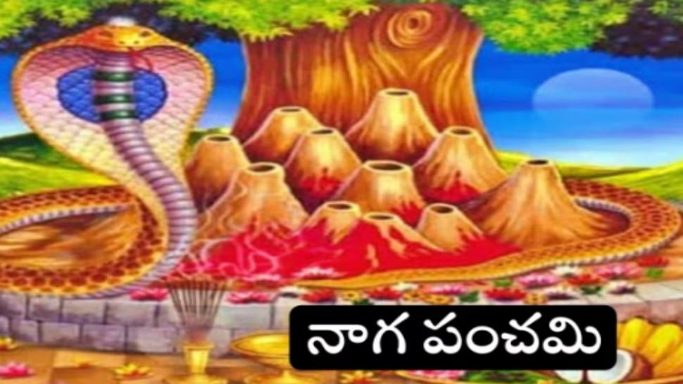 Nag Panchami 2023: నాగపంచమి నాడు ఈ 4 రాశులకు పట్టనున్న అదృష్టం.. ఇందులో మీ రాశి ఉందా?