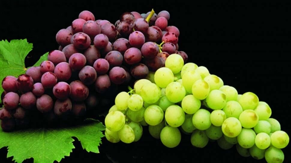 Health tips and benfits of grapes, add grapes in your diet and get rid