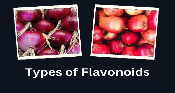 Flavonoids: కేన్సర్ ముప్పును తగ్గించే ఫ్లెవనాయిడ్స్ ఏవి, ఎన్నిరకాలు