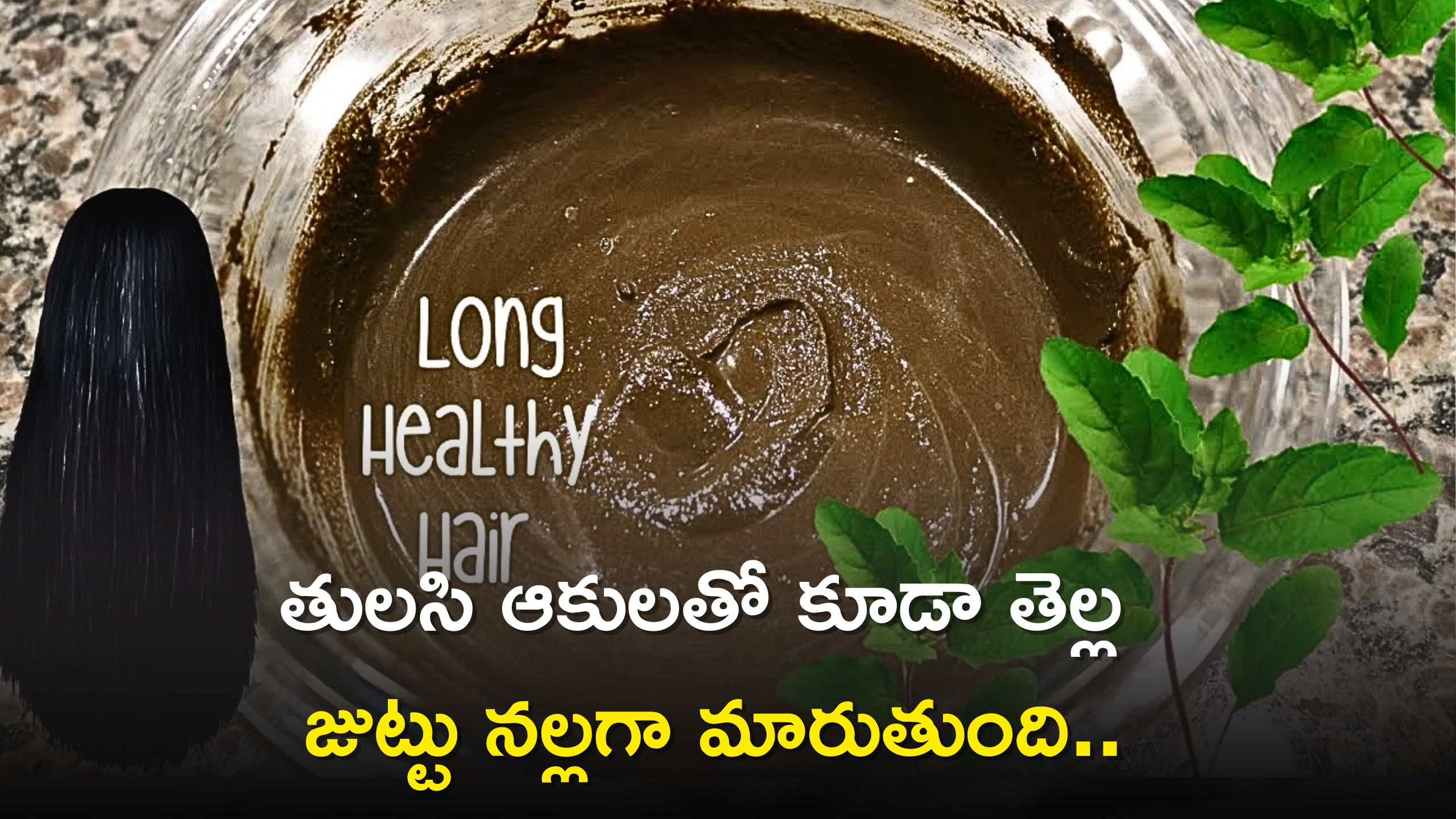 White Hair To Black Hair: తులసి ఆకులతో కూడా తెల్ల జుట్టు నల్లగా మారుతుంది..ఈ రెమెడీని ఎప్పుడైనా వినియోగించారా?