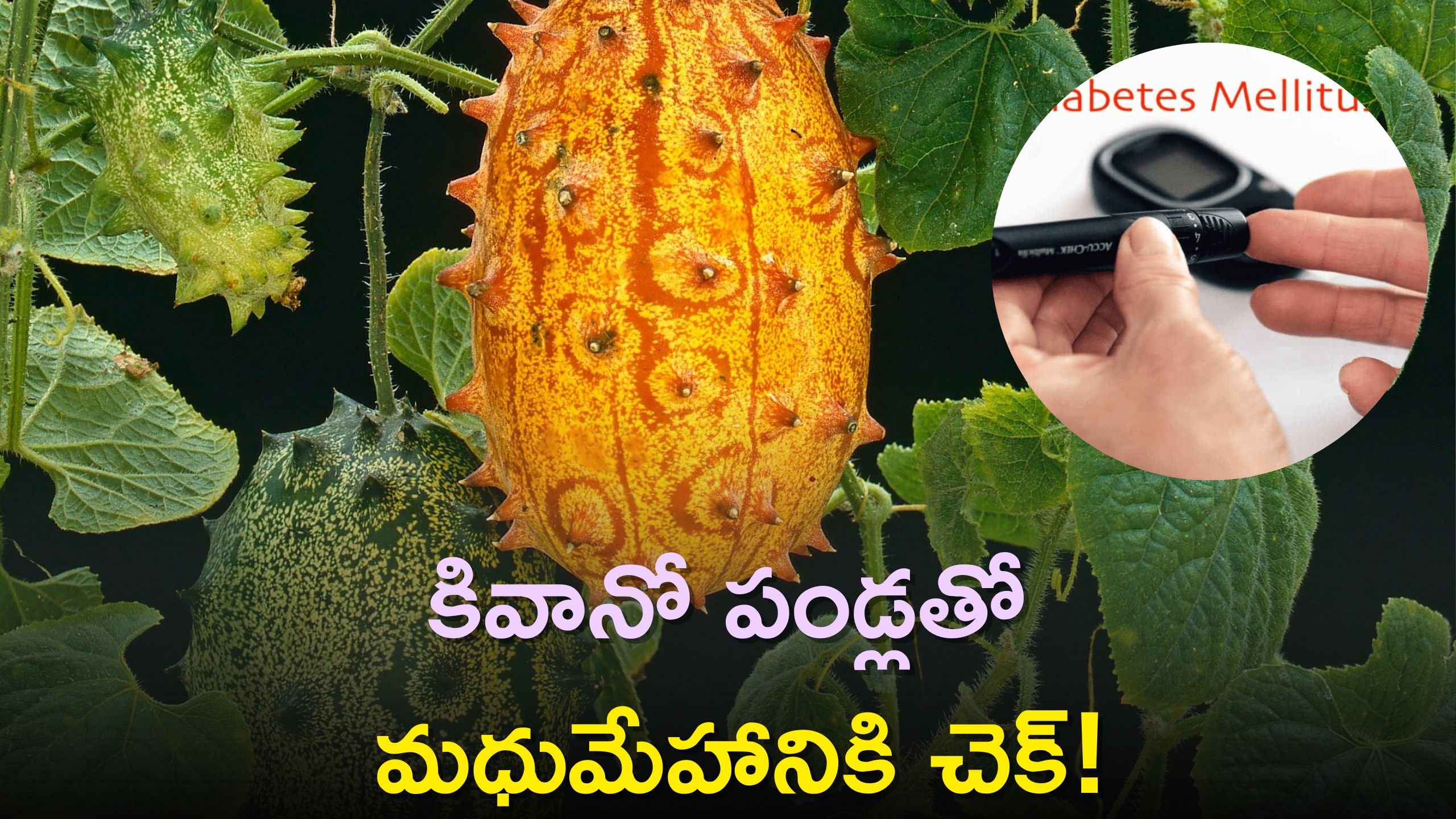 Control Blood Sugar With Kiwano Melon Kiwano Melon Benefits కివానో