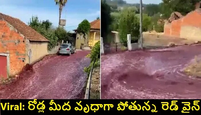 Red Wine Flowing In Streets: కంపెనీలో స్టోరేజ్ ట్యాంకులు పగిలి రోడ్లపై పొంగిపొర్లిన రెడ్ వైన్.. వీడియో వైరల్