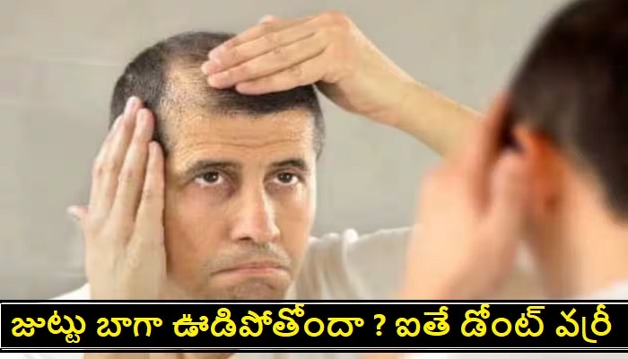 Vegetables For Hair Growth: తక్కువ ఖర్చుతో కేవలం కూరగాయలతో జుట్టు పెరిగే మార్గం