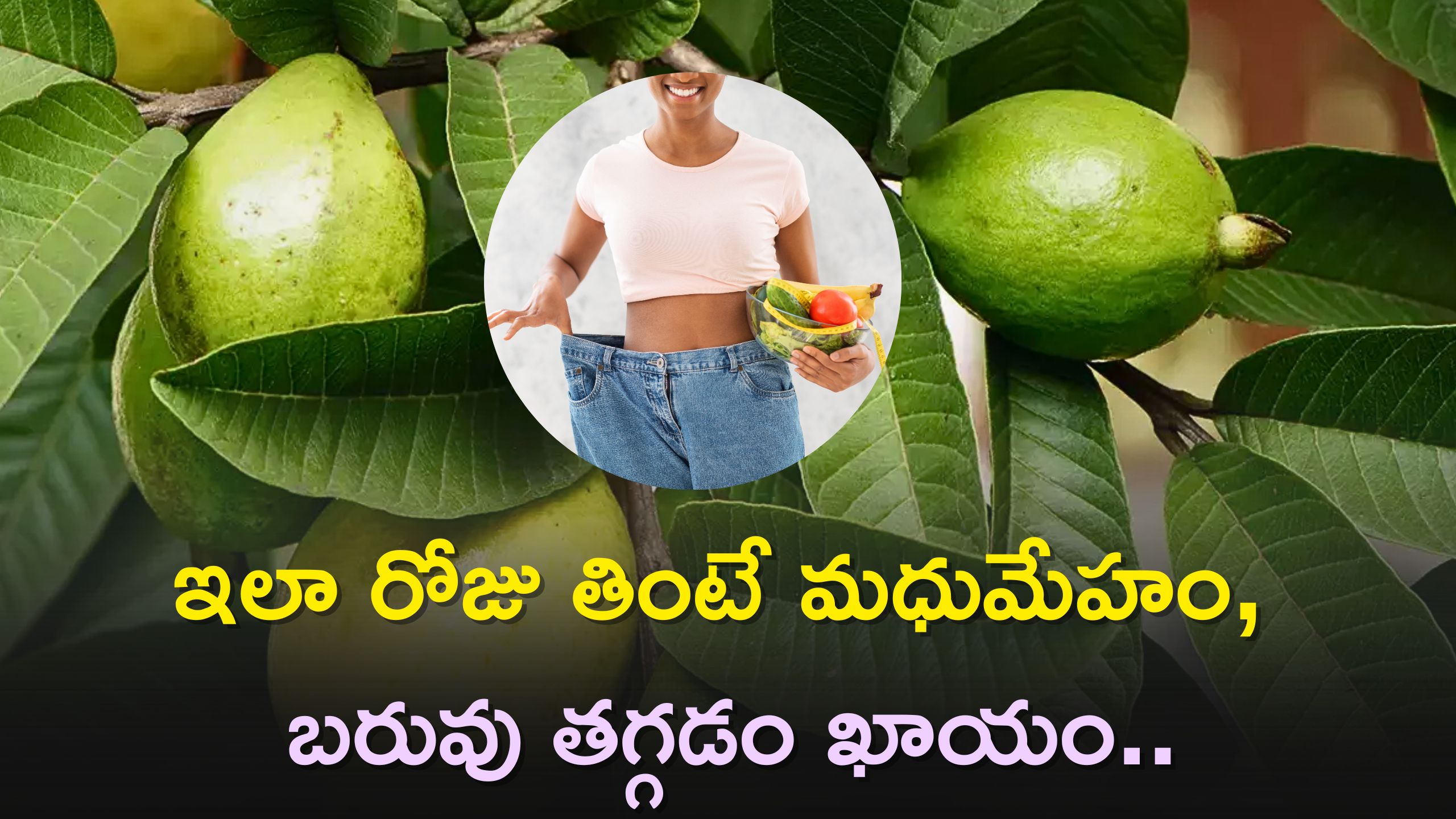 Weight Loss And Diabetes: జామ ఆకులతో అద్భుత ప్రయోజనాలు..ఇలా రోజు తింటే మధుమేహం, బరువు తగ్గడం ఖాయం..