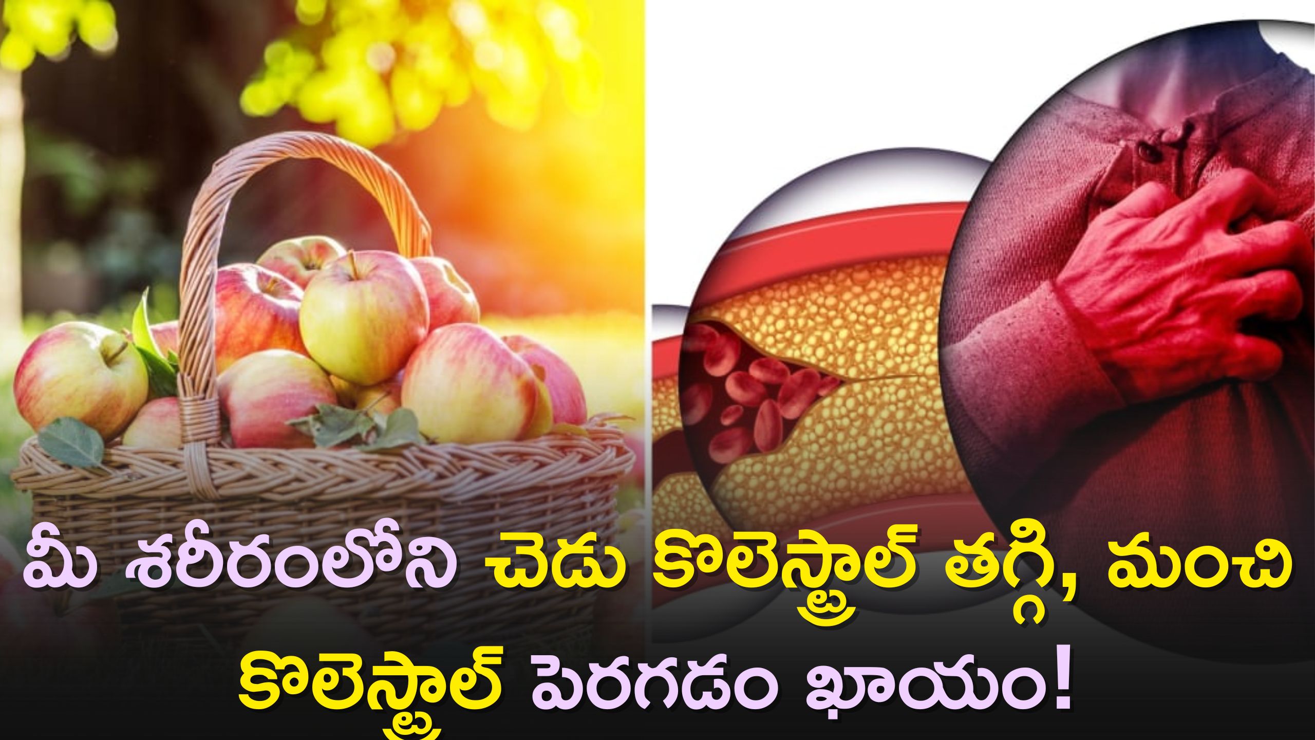 Apples For Bad Cholesterol Apples Are Sure To Reduce Bad Cholesterol