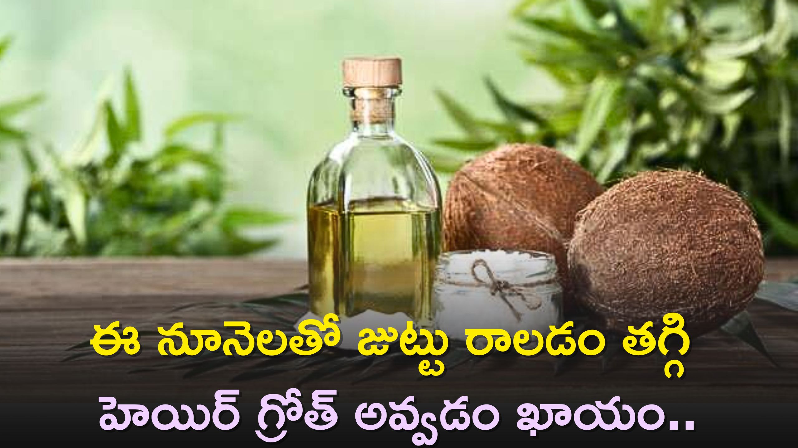   Herbs For Hair Growth: ఈ నూనెలతో జుట్టు రాలడం తగ్గి హెయిర్‌ గ్రోత్‌ అవ్వడం ఖాయం..