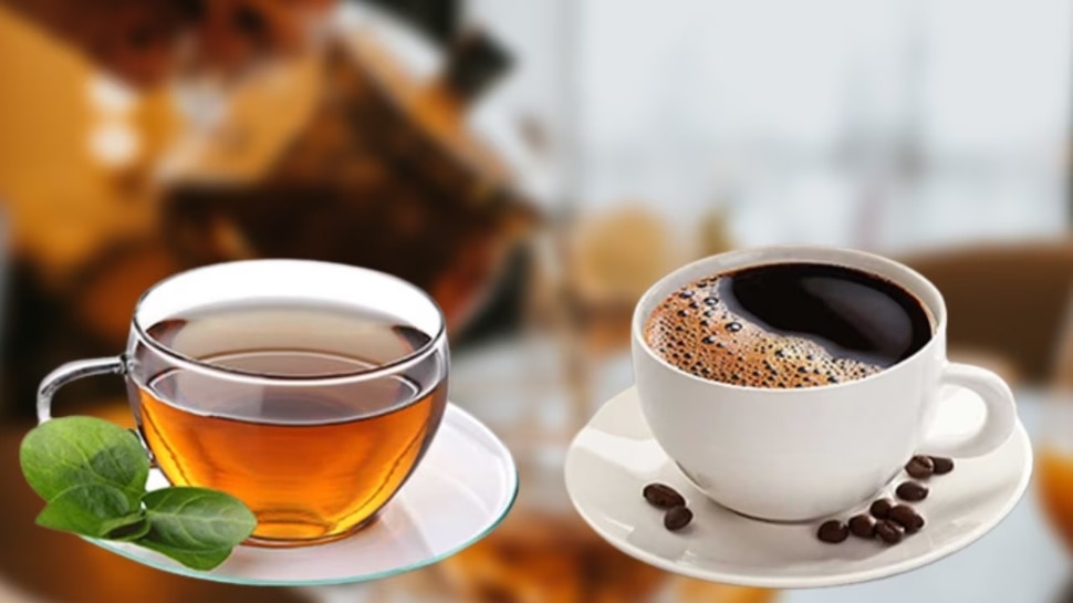 green tea vs black coffee What is better for Good Health and weight