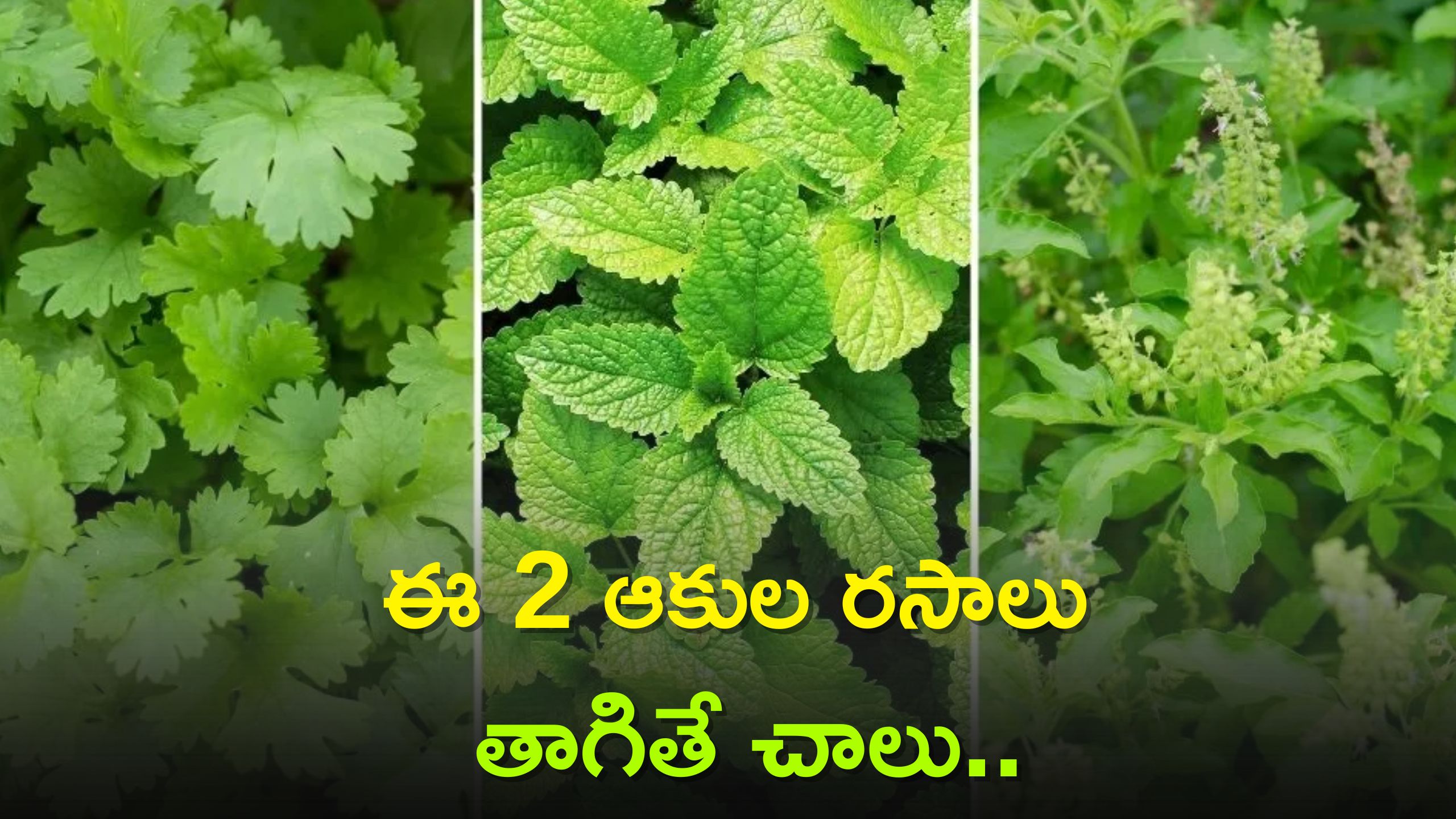 drink-juice-of-mint-leaves-and-coriander-leaves-to-reduce-joint-pain-in