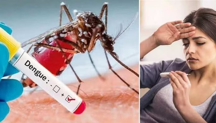 Dengue Fever: డెంగ్యూ వ్యాధి నుంచి సత్వరం ఎలా కోలుకోవాలి, ఈ 4 పదార్ధాలు డైట్‌లో ఉంటే చాలు