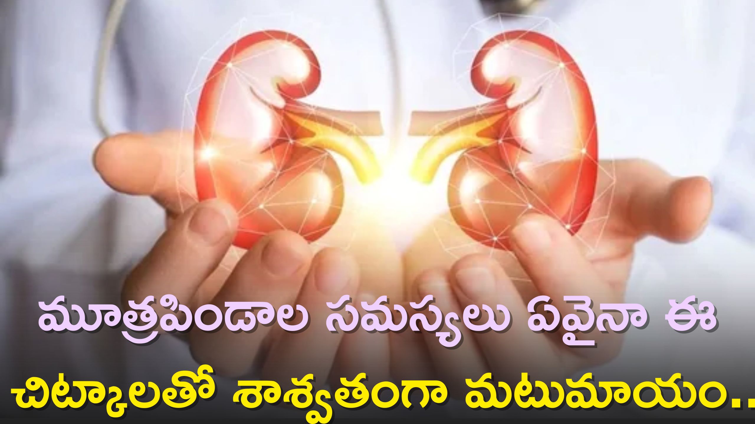 Kidney Health Tips: మూత్రపిండాల సమస్యలు ఏవైనా ఈ చిట్కాలతో శాశ్వతంగా మటుమాయం..