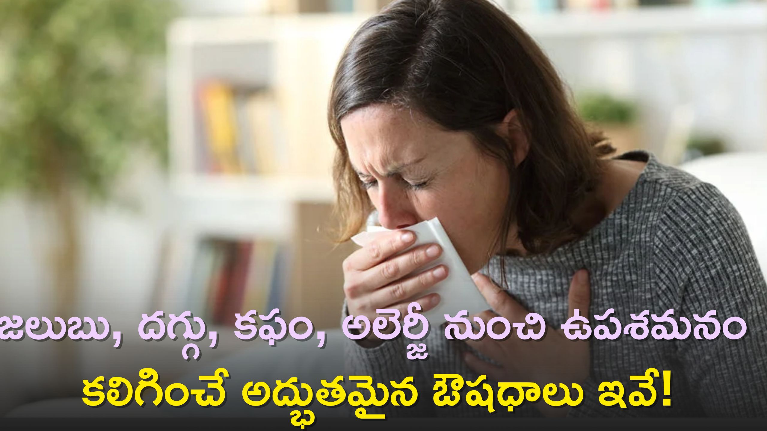 Winter Illnesses 2023: జలుబు, దగ్గు, కఫం, అలెర్జీ నుంచి ఉపశమనం కలిగించే అద్భుతమైన ఔషధాలు ఇవే!