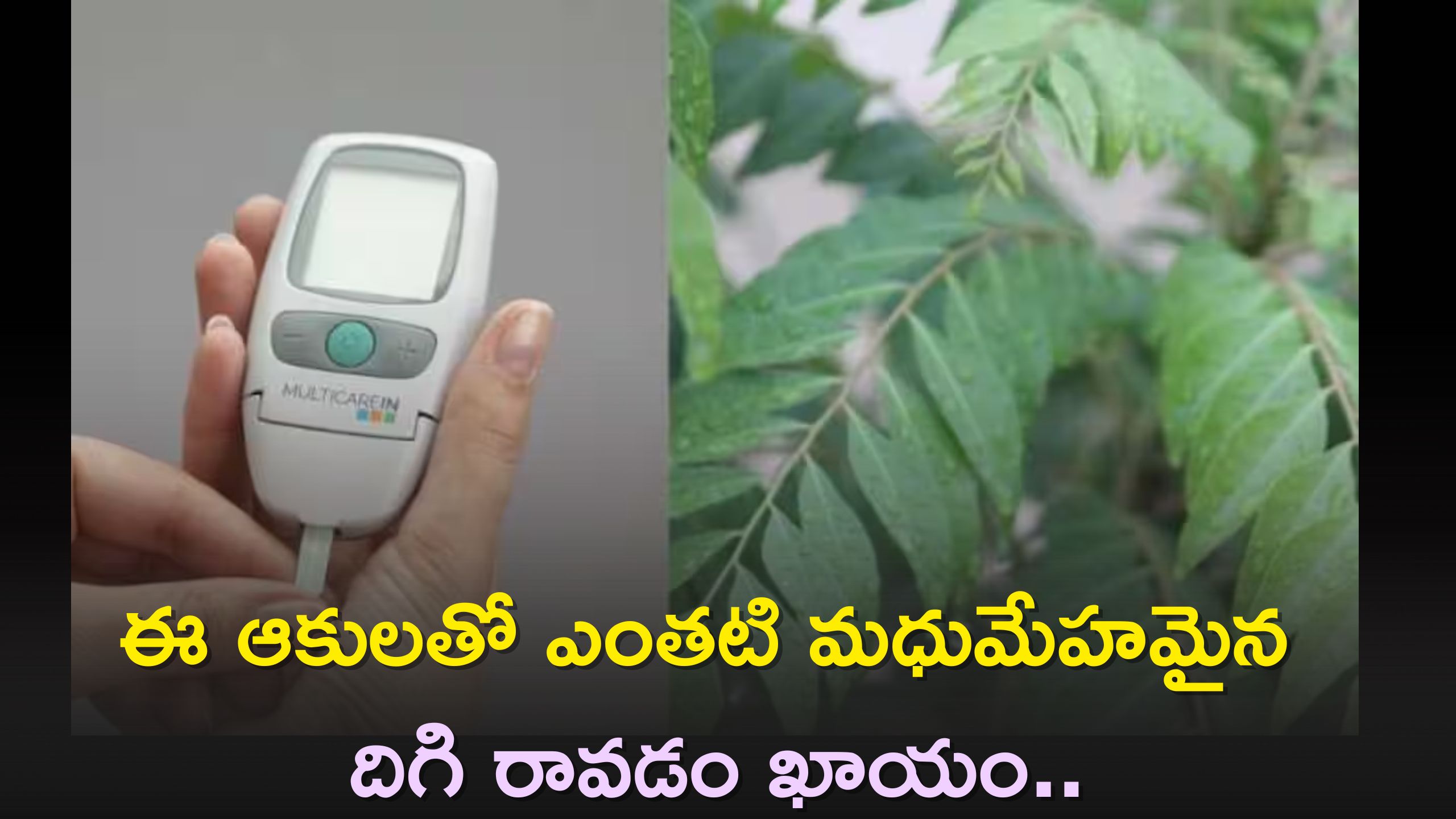 Diabetic Care Tips: ఈ ఆకులతో ఎంతటి మధుమేహమైన దిగి రావడం ఖాయం..నమ్మట్లేదా ట్రై చేయండి!