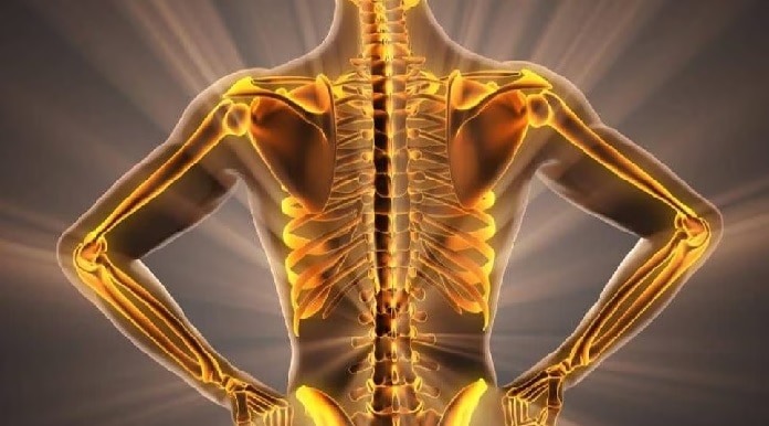 Bone Health: మీ ఎముకలు ఉక్కులా ధృడంగా మారాలంటే రోజూ ఈ 5 డ్రింక్స్ తాగాల్సిందే