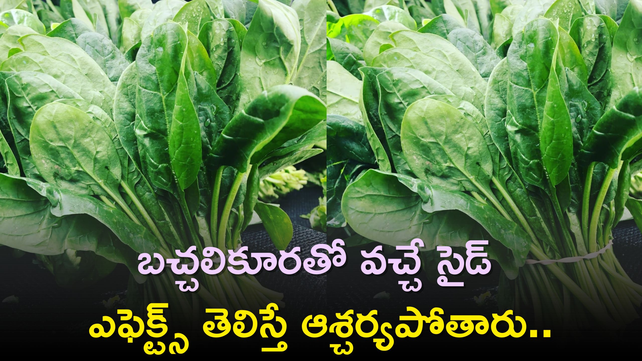 Side Effects Of Spinach: బచ్చలికూరతో వచ్చే సైడ్‌ ఎఫెక్ట్స్‌ తెలిస్తే ఆశ్చర్యపోతారు..ఏంటి నమ్మట్లేదా?