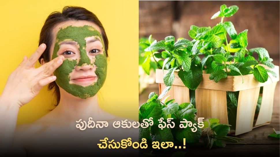 Amazing Mint Leaves Benefits For Skin, Health, Beauty For Healthy Life