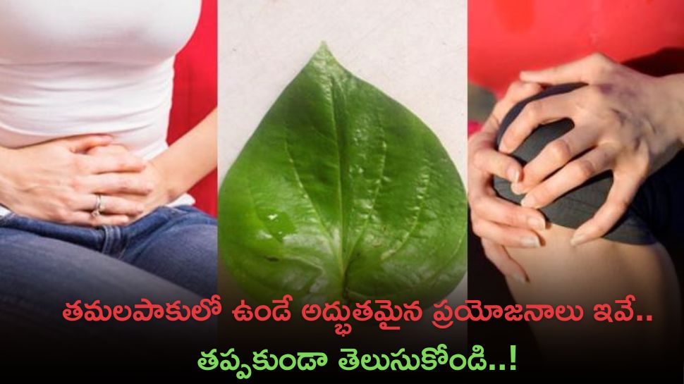 Betel Leaves: తమలపాకులో ఉండే అద్భుతమైన ప్రయోజనాలు ఇవే.. తప్పకుండా తెలుసుకోండి..!