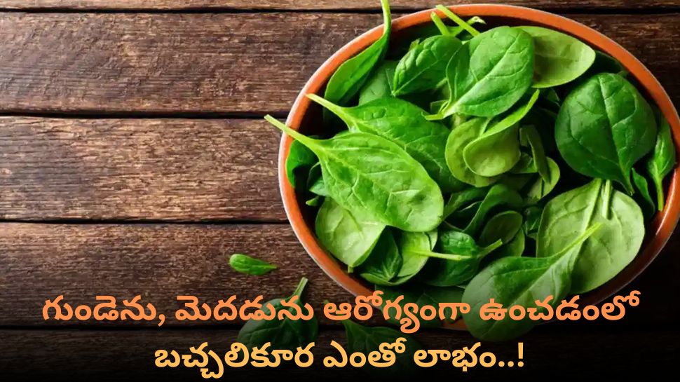 Malabar Spinach Improve Digestion System, Blood Pressure, Good Eyesight Must Have It Malabar