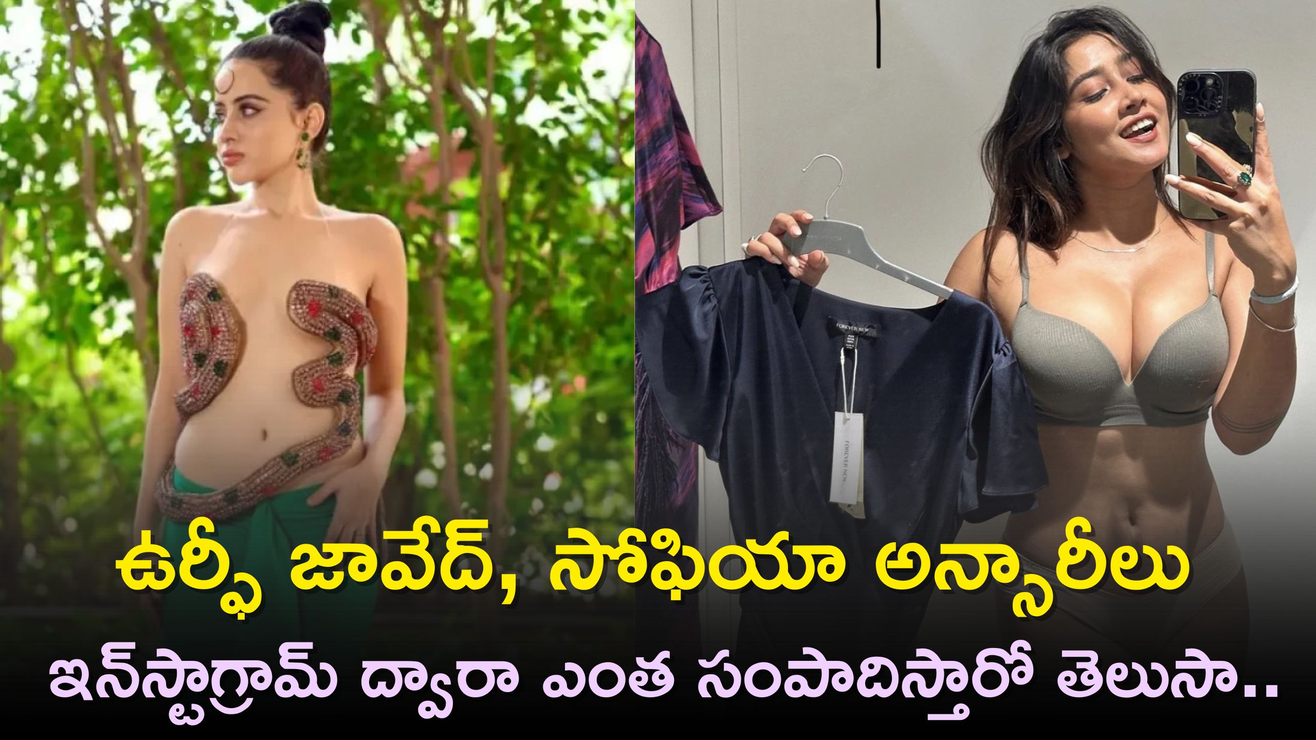 Net Worth: ఉర్ఫీ జావేద్, సోఫియా అన్సారీలు ఇన్‌స్టాగ్రామ్‌ ద్వారా ఎంత సంపాదిస్తారో తెలిస్తే..మైండ్‌ బ్లాక్‌ అవ్వుది..
