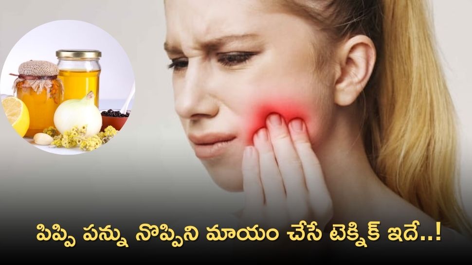 Honey Helps From Teeth Pain How To Use This How Effectively This