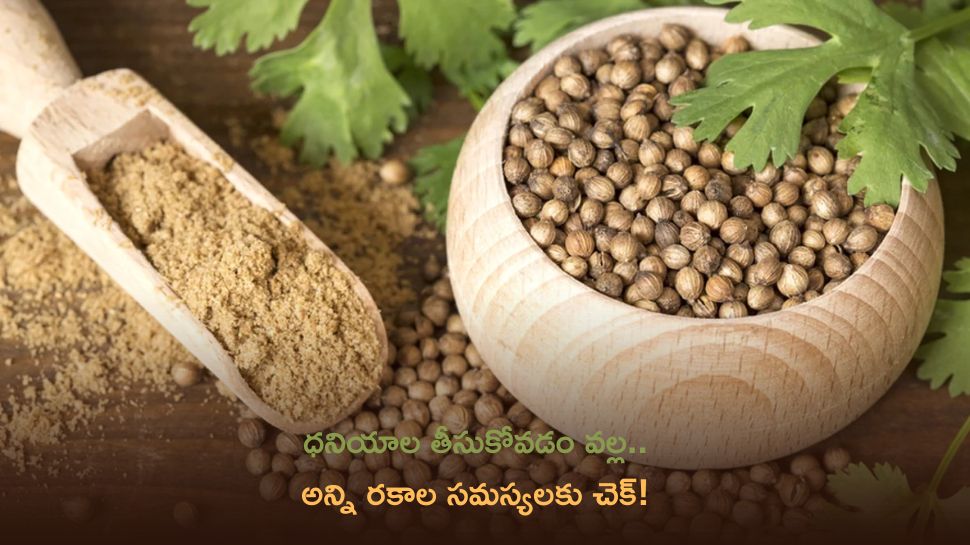 Coriander Seeds: ధనియాల తీసుకోవడం వల్ల అన్ని రకాల సమస్యలకు చెక్‌!