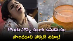 Ayurvedic Remedy for Sore Throat: గొంతు నొప్పి నుంచి ఉపశమనం పొందడాని చక్కటి చిట్కా!