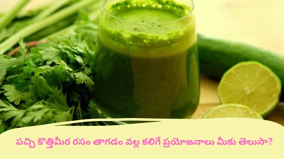 Benefits Of Coriander Juice Taking On Empty Stomach Must Try This Juice For Best Results