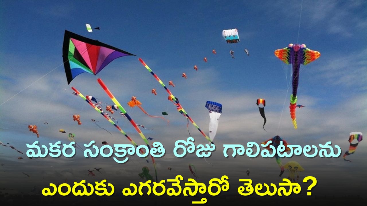 Makar Sankranti 2024: మకర సంక్రాంతి రోజు గాలిపటాలను ఎందుకు ఎగరవేస్తారో తెలుసా? 