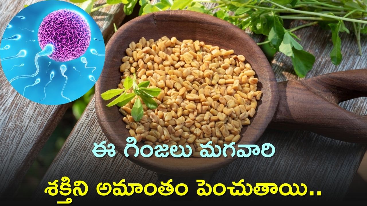 If You Eat 5 Grams Of Fenugreek In Morning Sperm Count Will Boost Sperm Count ఈ గింజలు మగవారి