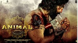 Animal Movie: యానిమల్ సినిమా ఓటీటీ స్ట్రీమింగ్ నిలిచినట్టేనా, కోర్టుకు చేరిన పంచాయిత