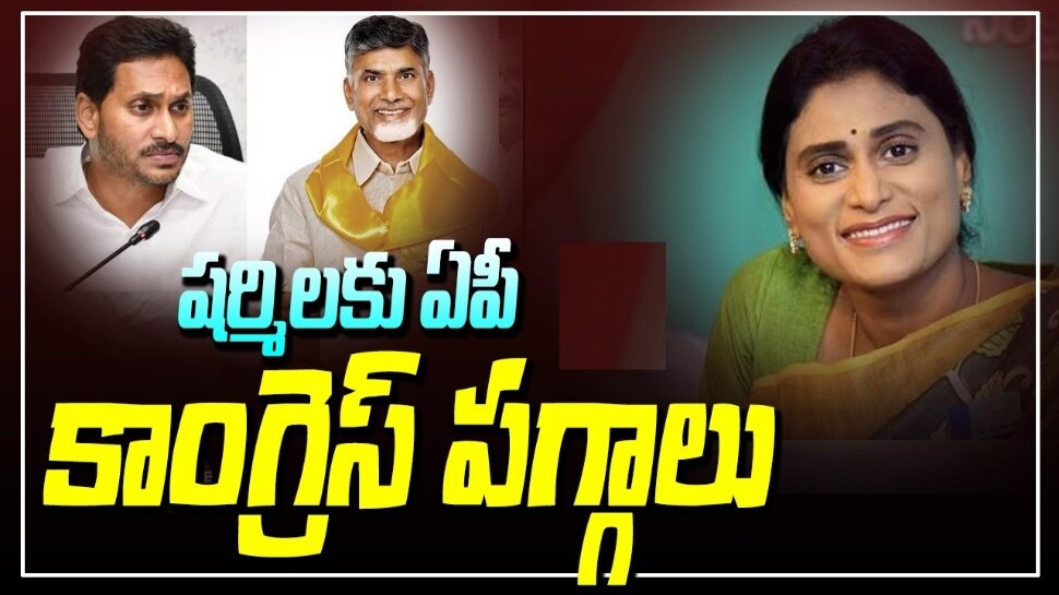 YS Sharmila: ఏపీ కాంగ్రెస్ అధ్యక్షురాలిగా వైఎస్ షర్మిల.. అధికారిక ప్రకటన వచ్చేసింది