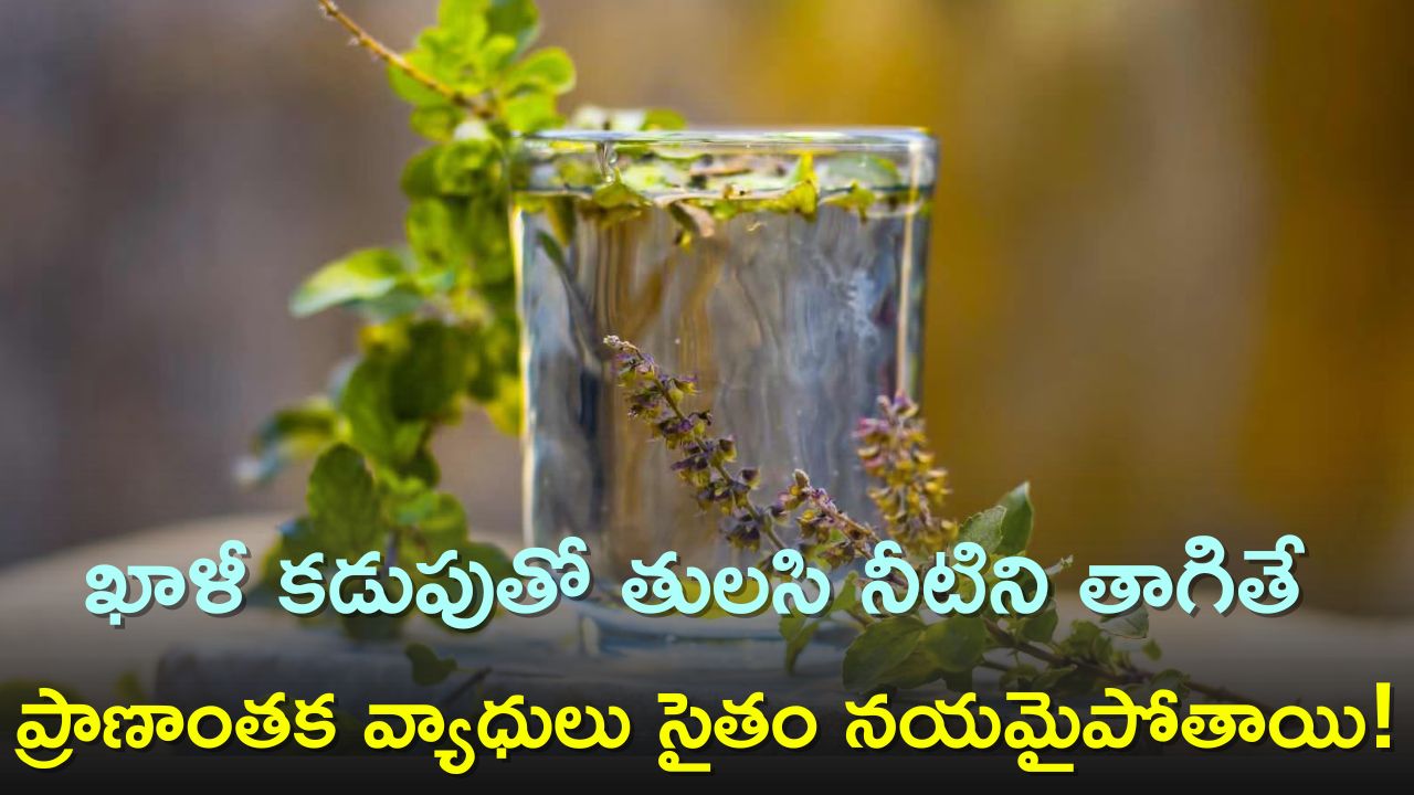 Drinking Basil Water On An Empty Stomach Can Cure Even Fatal Diseases