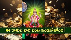 Mercury Transit: ఫిబ్రవరి 1న బుధాదిత్య రాజయోగం.. ఈ రాశుల వారి పంట పండబోతోంది!