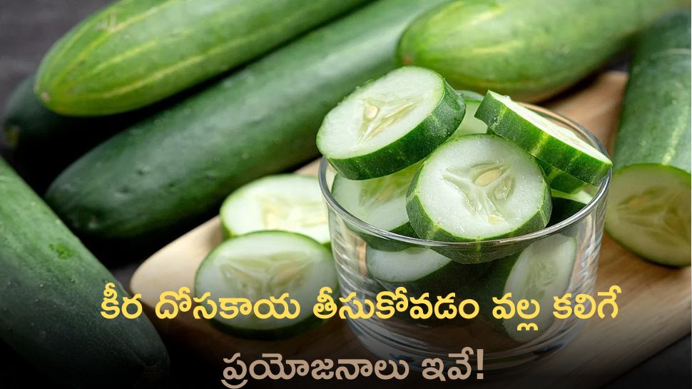 Cucumber Benefits: కీర దోసకాయ తీసుకోవడం వల్ల కలిగే ప్రయోజనాలు ఇవే!