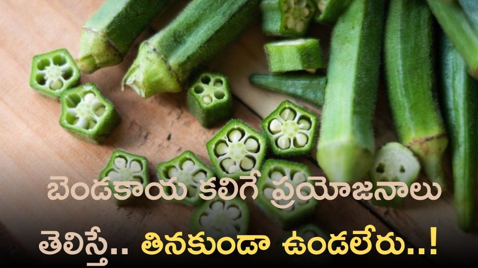 Eating Lady Fingers Is Highly Beneficial For Health Let Us Explore Its